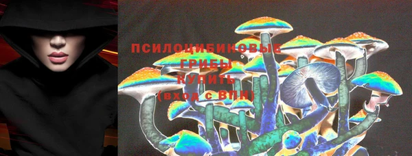 герыч Верхний Тагил