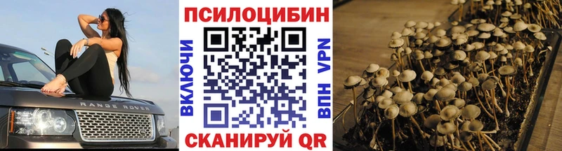 Псилоцибиновые грибы прущие грибы  Иноземцево 
